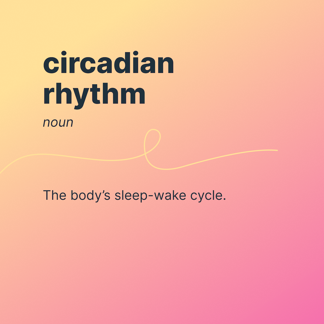 Circadian Rhythm
Noun
The body's sleep-wake cycle.