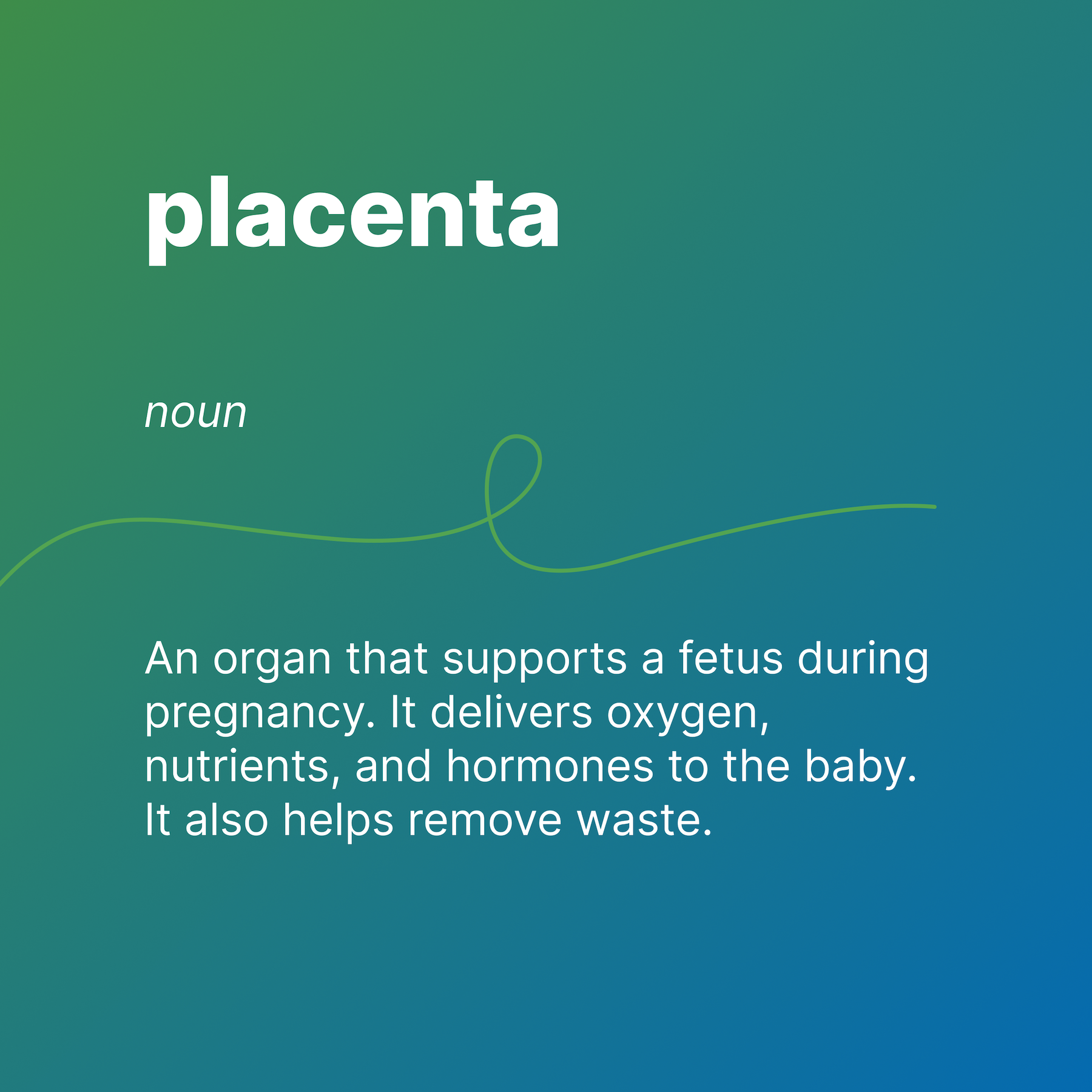 placenta
noun
An organ that supports a fetus during pregnancy. It delivers oxygen, nutrients, and hormones to the baby. It also helps remove waste.