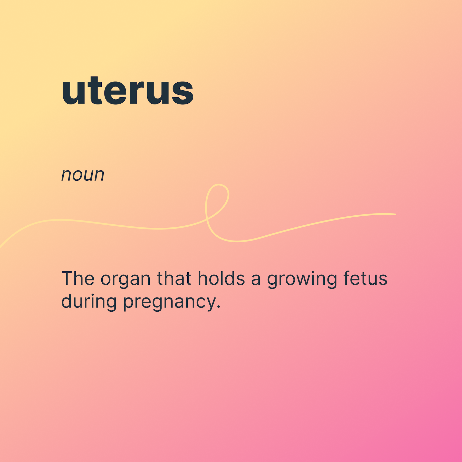 uterus
noun
The organ that holds a growing fetus during pregnancy.