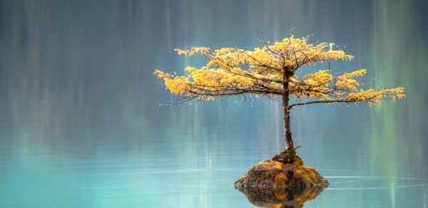 6 Ways to Mindfully Calm Your Anxiety - Dario Connect