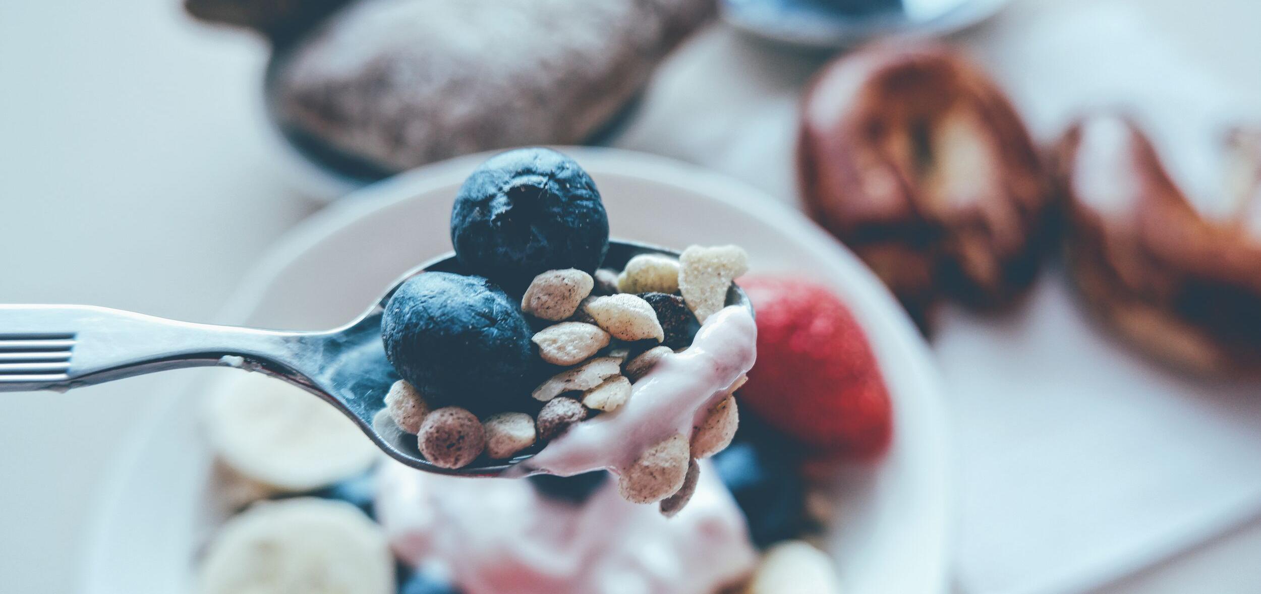 Bowl of yogurt with berries and oats